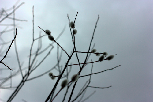 IMG 1215.jpg