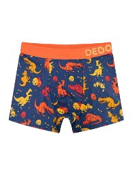 images 101 removebg preview.png