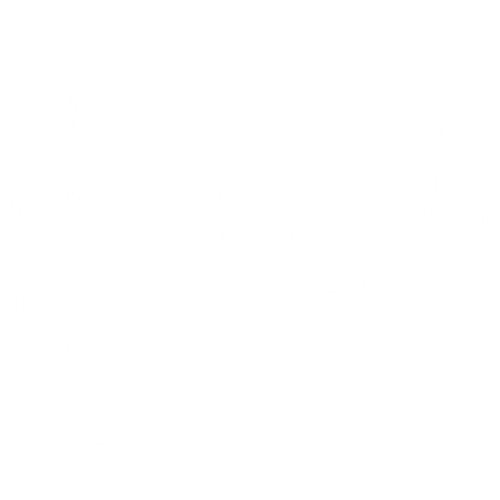A 200redesignframe1.png