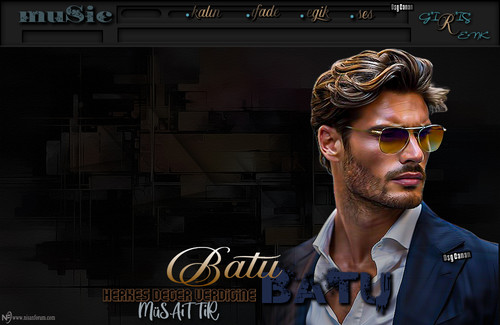 Batu Herkes Deger Verdigine.jpg