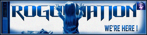 Polt Banner.jpg