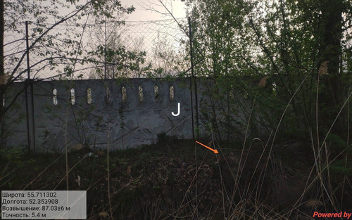 IMG 7885.jpg