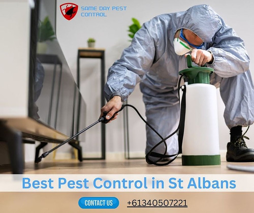 Pest Control in St Albans.jpg