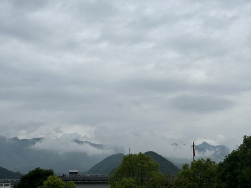 EFA0174D F335 4013 ADAA 8E744EF819B0.jpg