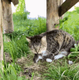 就是好玩.gif