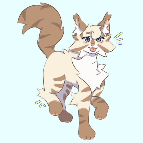 IMG 4927.png