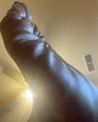[image] 8598132.jpg