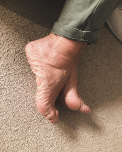 [image] 7483870.jpg