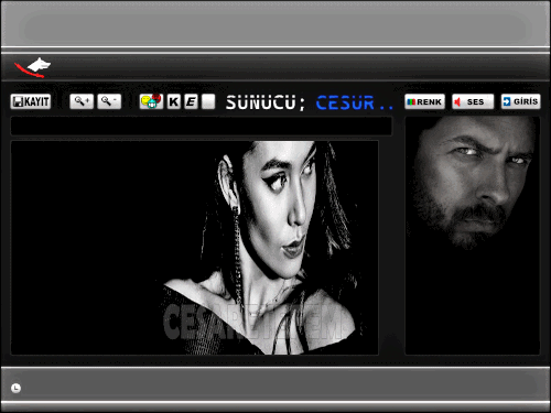 csrcsrt69.3