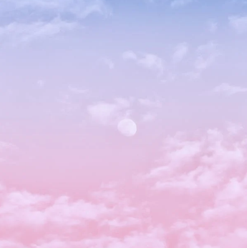 pinkers.2