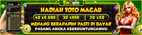 TAROWIN HS1 copy.jpg