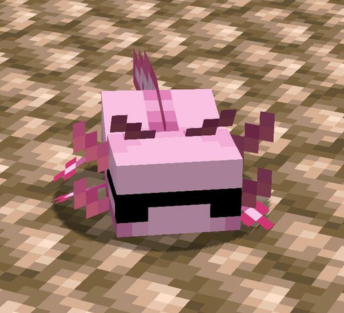 image.jpg