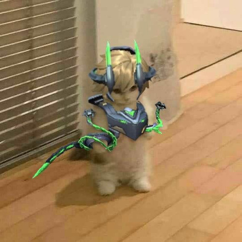 image.jpg