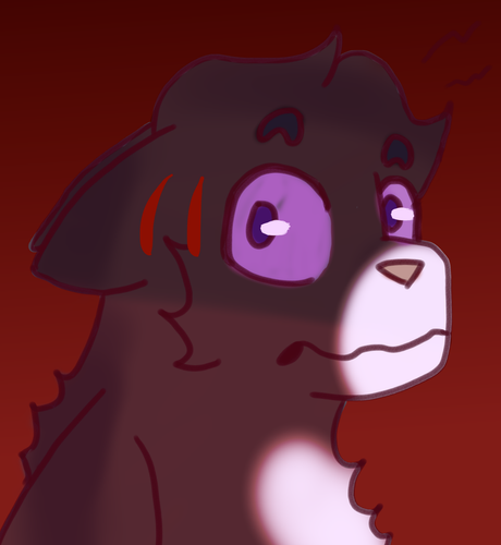 a very scared ravenpaw.png