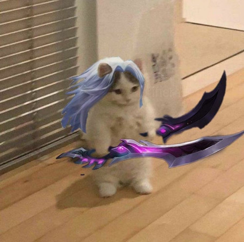 image.jpg