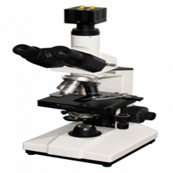 Image particle shape and size analyzer.png