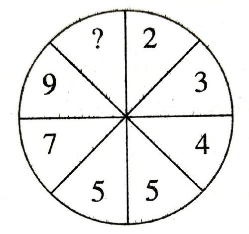 photo 6159166287570386719 x.jpg