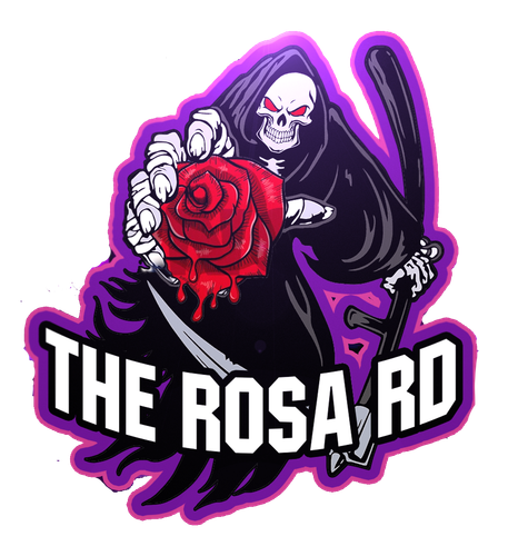 tiktok seguidores.png