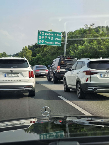 file.jpg
