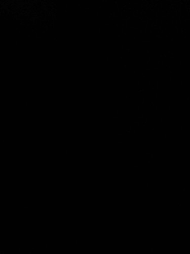 file.jpg