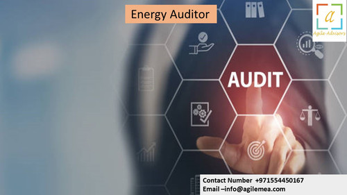Eauditor 29.4.24.jpg
