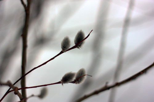 IMG 1216.jpg