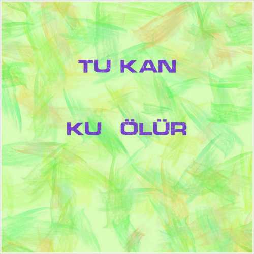 دانلود آهنگ جدید Tuğkan به نام Kuş Ölür