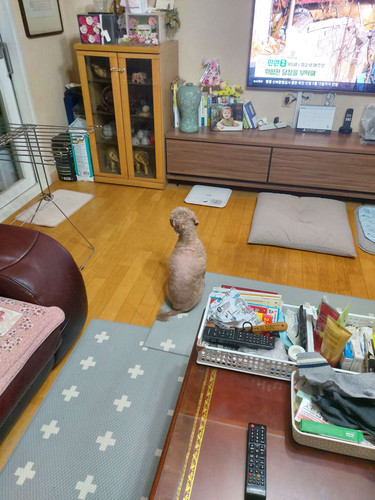 file.jpg