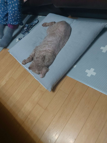 file.jpg