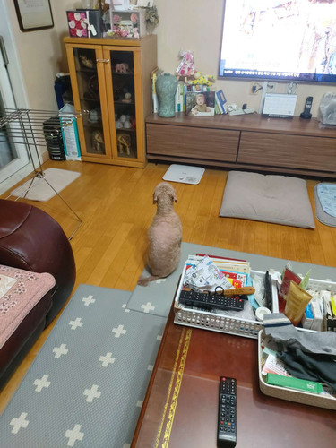 file.jpg