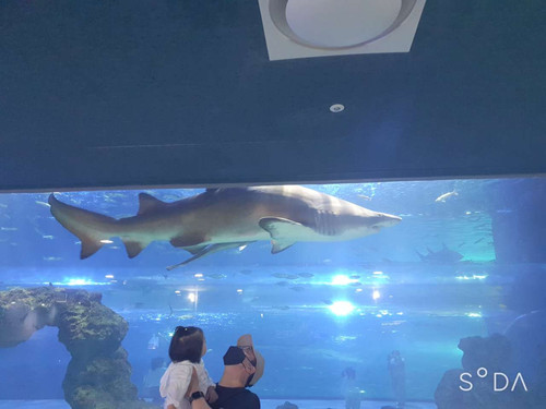 file.jpg