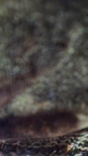 1000342004.jpg