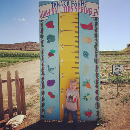 IMG 20180518 234701 549.jpg