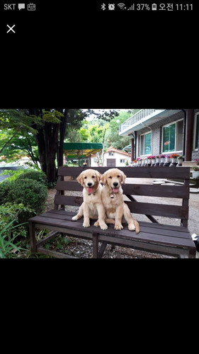 file.jpg