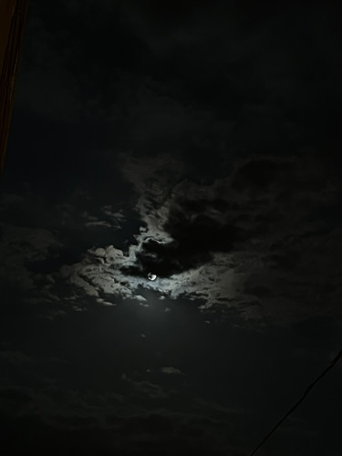 IMG 3426.jpg