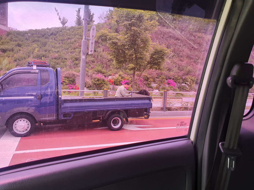 file.jpg