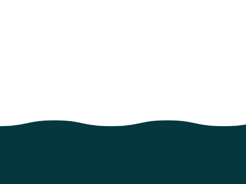 Zendesk boat footer drib.gif