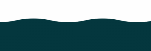 Zendesk boat footer drib ezgif.com crop (1).gif