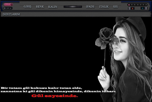 gul.jpg