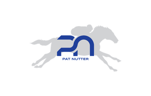 PNOnHorse.png