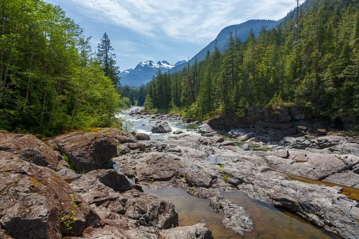A Canadian road trip on the Pacific Rim Highway, British Columbia