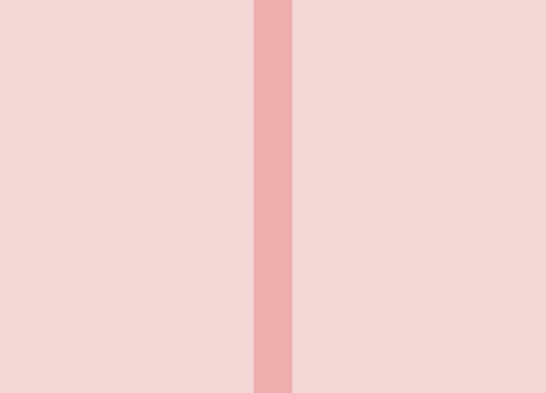 FSB D4500 148x210 P OS 64S.png