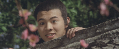 Shaolin.Temple.1982.BluRay.1080p.x265.10bit.2Audio.MNHD FRDS.mkv 20240307 112006.092.png