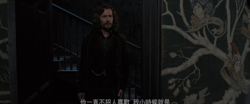 5.Harry.Potter.and.the.Order.of.the.Phoenix.2007.UHD.BluRay.2160p.DTS X.7.1.HDR.x265.10bit CHD.mkv 2.jpg