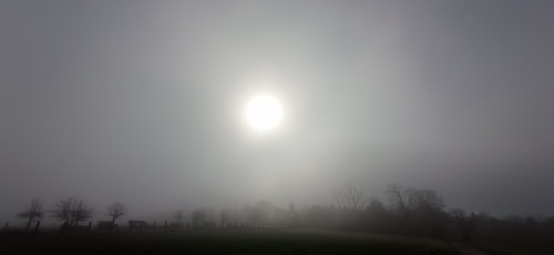 IMG 20240303 095054