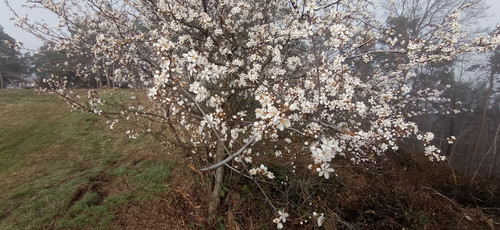 IMG 20240303 095940