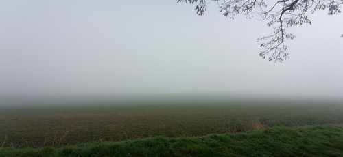 IMG 20240303 095441