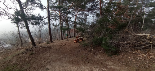 IMG 20240303 100003
