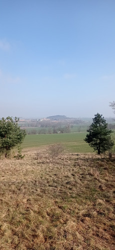 IMG 20240303 112030
