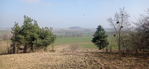 IMG 20240303 112035